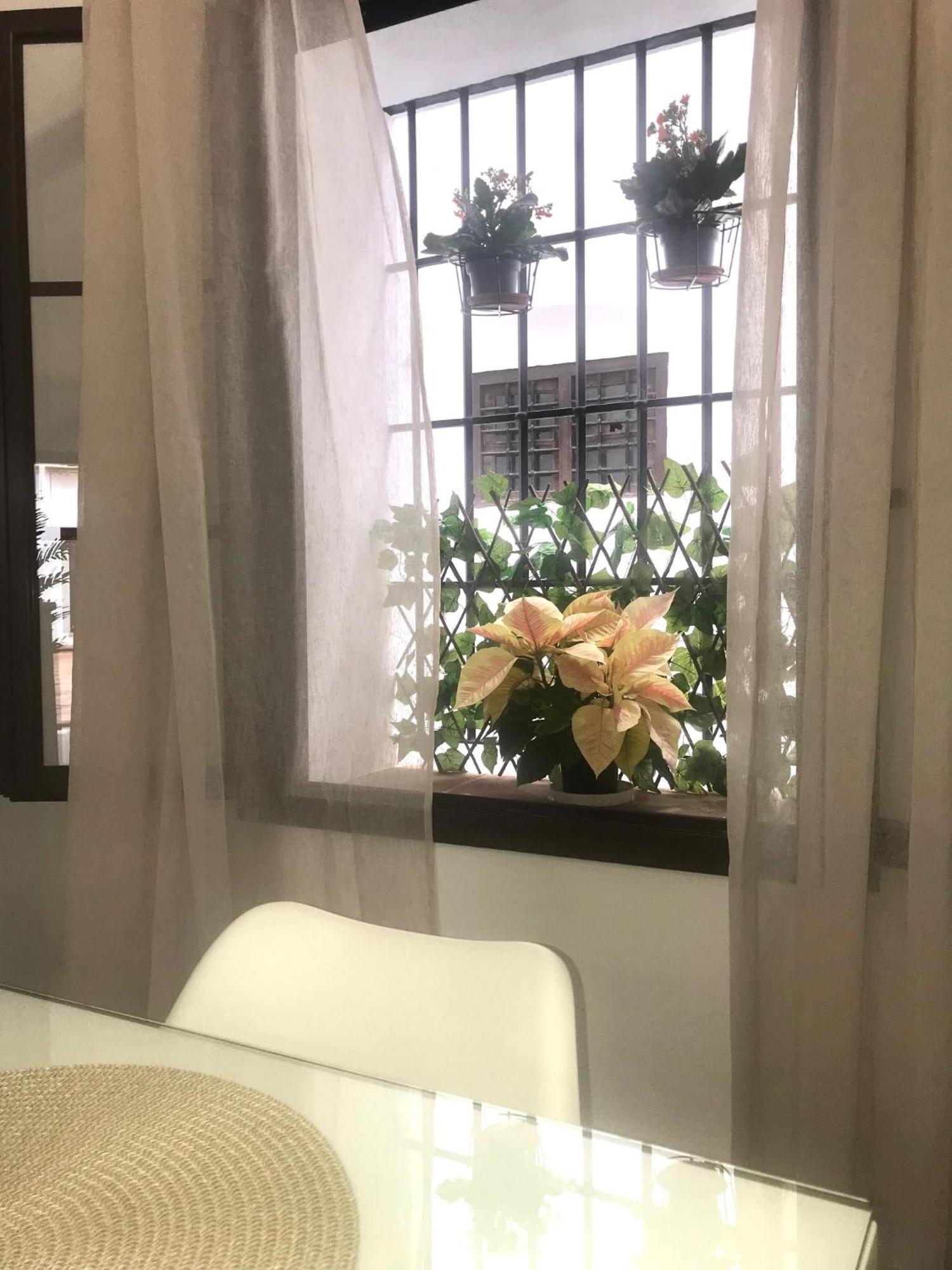 Apartamento El Museo Écija Extérieur photo